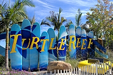 Turtle Reef