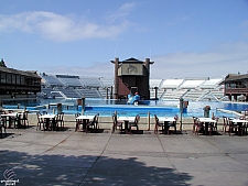 Shamu Stadium