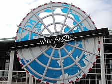 Wild Artic