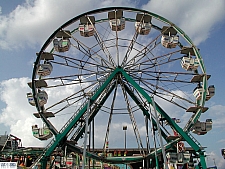 Rides