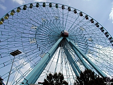 Texas Star