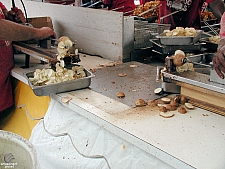 2003 State Fair of Texas