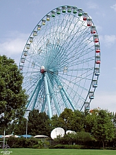 Texas Star