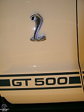 Cobra GT500