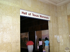 Dallas Museum of Natural History