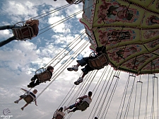 Wave Swinger