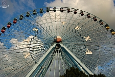 Texas Star