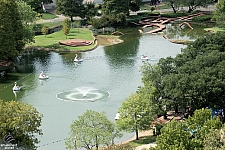 Swan Boats