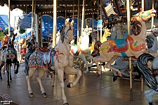 Dentzel Carousel