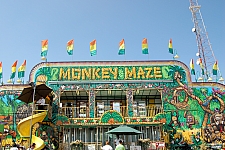 Monkey Maze