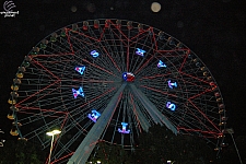 Texas Star