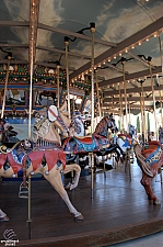 Dentzel Carousel