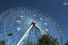 Texas Star