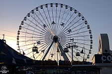 Texas Star