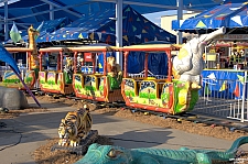 Safari Train