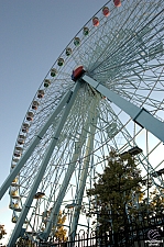 Texas Star