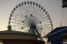 Texas Star