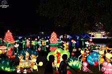 Chinese Lantern Festival