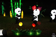 Chinese Lantern Festival