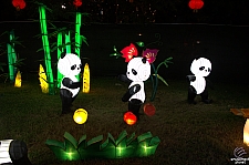 Chinese Lantern Festival