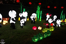 Chinese Lantern Festival