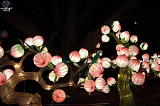 Chinese Lantern Festival