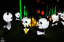 Chinese Lantern Festival