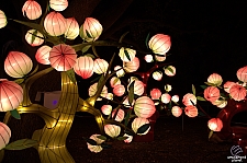 Chinese Lantern Festival