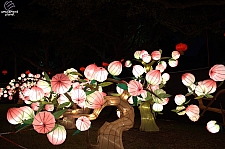 Chinese Lantern Festival