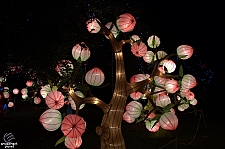 Chinese Lantern Festival