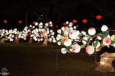 Chinese Lantern Festival