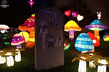 Chinese Lantern Festival