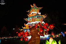 Chinese Lantern Festival