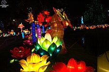 Chinese Lantern Festival