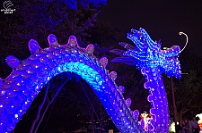 Chinese Lantern Festival