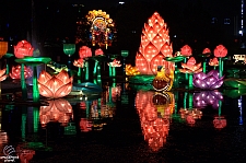 Chinese Lantern Festival