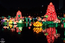 Chinese Lantern Festival