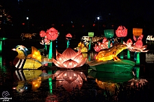 Chinese Lantern Festival