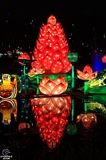 Chinese Lantern Festival