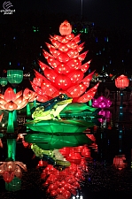 Chinese Lantern Festival