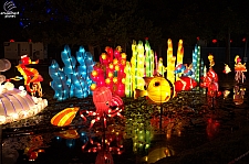 Chinese Lantern Festival