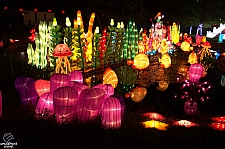 Chinese Lantern Festival