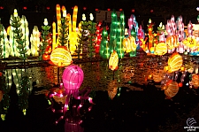 Chinese Lantern Festival