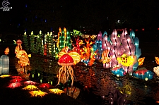 Chinese Lantern Festival