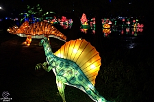 Chinese Lantern Festival