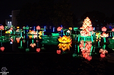 Chinese Lantern Festival