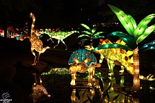 Chinese Lantern Festival