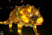 Chinese Lantern Festival