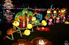 Chinese Lantern Festival