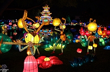 Chinese Lantern Festival